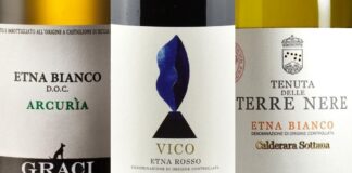 Top 20 Wines of Etna (2023)