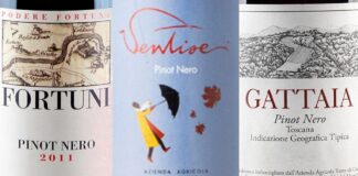 Migliori 10 Pinot Nero del Mugello (2026)