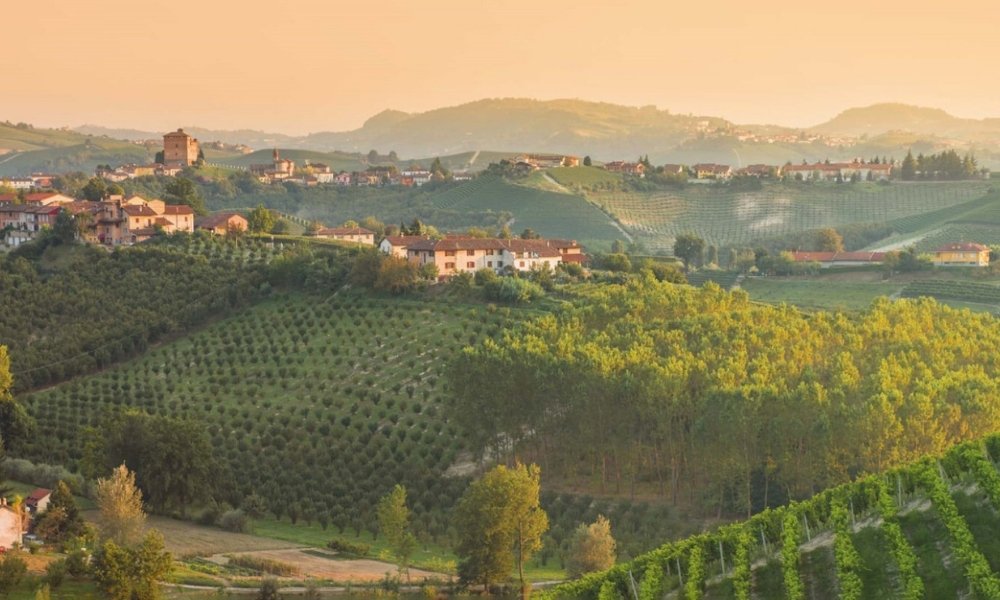 Os vinhedos de Langhe de onde nascem os vinhos de Giacomo Conterno https://www.italysfinestwines.it/en/giacomo-conterno/