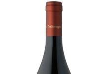 Ruché di Castagnole Monferrato DOCG 2019 – Prediomagno