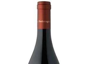 Ruché di Castagnole Monferrato DOCG 2019 – Prediomagno