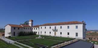 Prediomagno