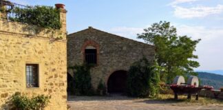 Isole e Olena