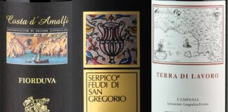 Best Wines from Campania (2025)