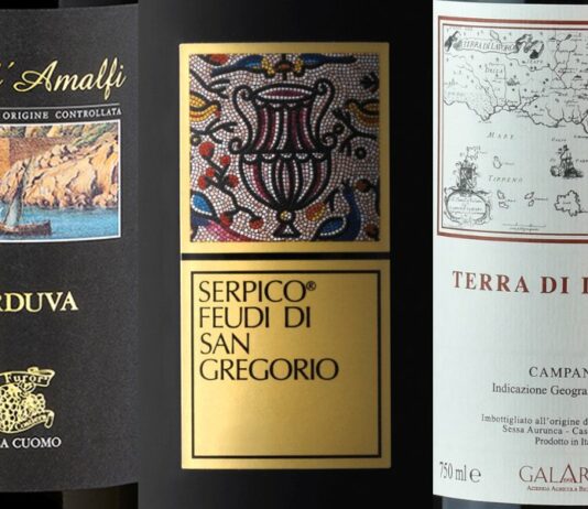 Best Wines from Campania (2025)