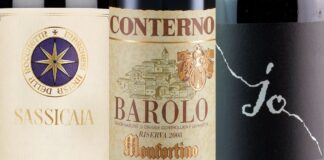 The 100 Top Italian Wines