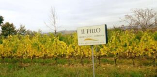 Il Fitto