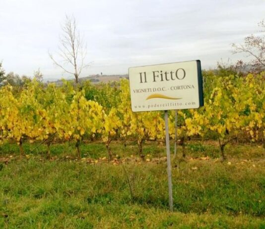 Il Fitto