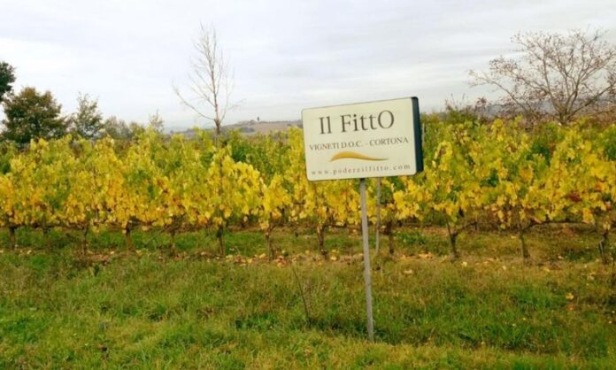 2 il fitto