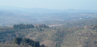 Lamole di Lamole