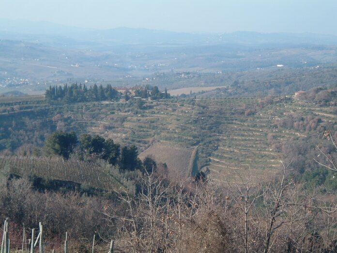 LAMOLE panorama