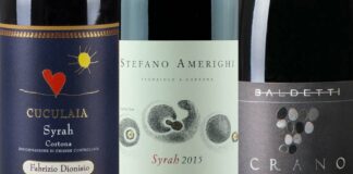 Migliori 10 Syrah di Cortona (2026) – Jean Marco Palmieri