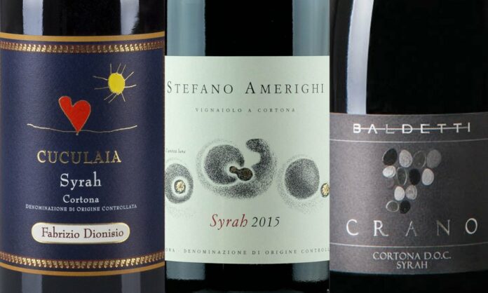 MIGLIORI VINI ROSSI ITALIANI (6)