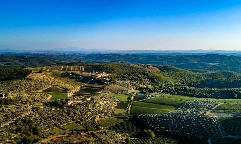 10-Castello-di-ama-vini-1