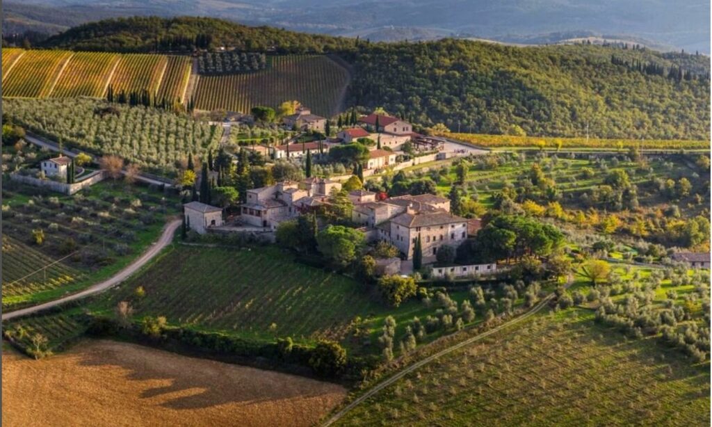 9 Castello di ama vini