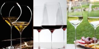 Best 10 Professional Red and White Wine Glasses (2022)