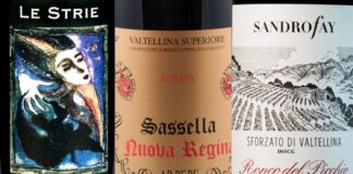 Migliori 10 Vini della Valtellina (2026)