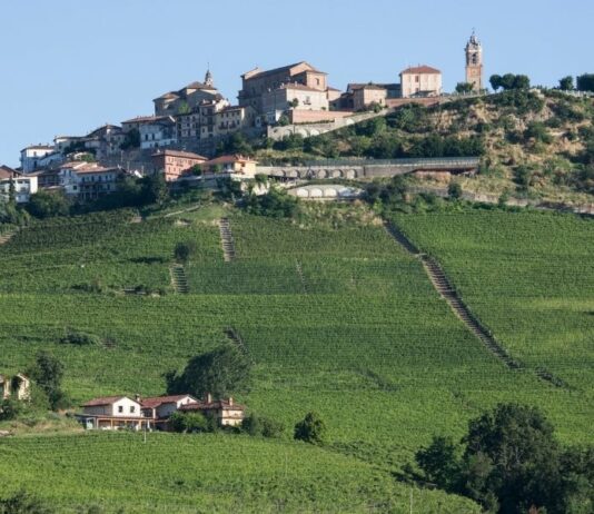 La Collina di Dioniso – Fabio Oberto