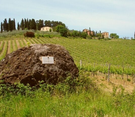 Capezzana
