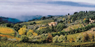 Castellare di Castellina