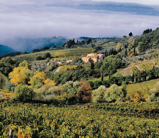 Castellare di Castellina