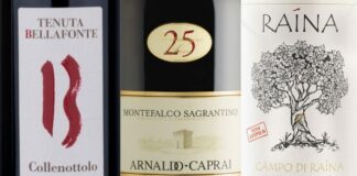 Migliori 10 Sagrantino di Montefalco (2026)