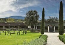 Tenuta dell’Ornellaia