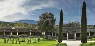 Tenuta dell’Ornellaia