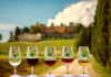 Migliori 10 Cantine da Visitare in Chianti Classico