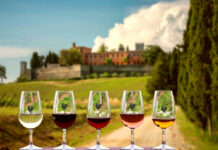 Migliori 10 Cantine da Visitare in Chianti Classico