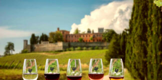 Migliori 10 Cantine da Visitare in Chianti Classico