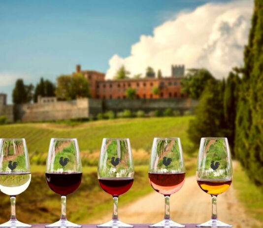 Migliori 10 Cantine da Visitare in Chianti Classico