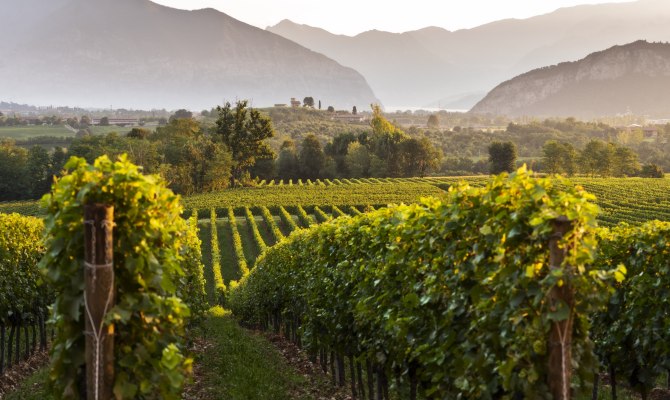 Franciacorta migliori cantine