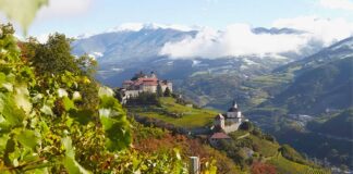 Migliori 20 Cantine in Alta Quota – Vigneti più Alti d’Italia