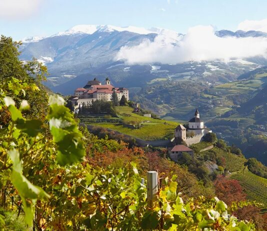 Migliori 20 Cantine in Alta Quota – Vigneti più Alti d’Italia