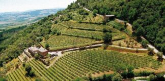 Il Marroneto