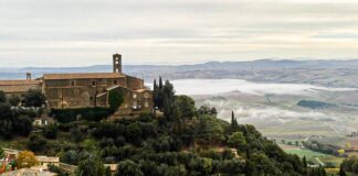 Brunello di Montalcino: perché bisogna ripartire dai giovani