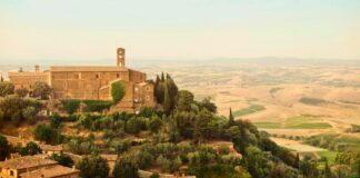 Best Brunello di Montalcino Wineries to Visit
