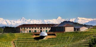 Migliori 10 Cantine da Visitare nelle Langhe cantine da visitare nelle langhe