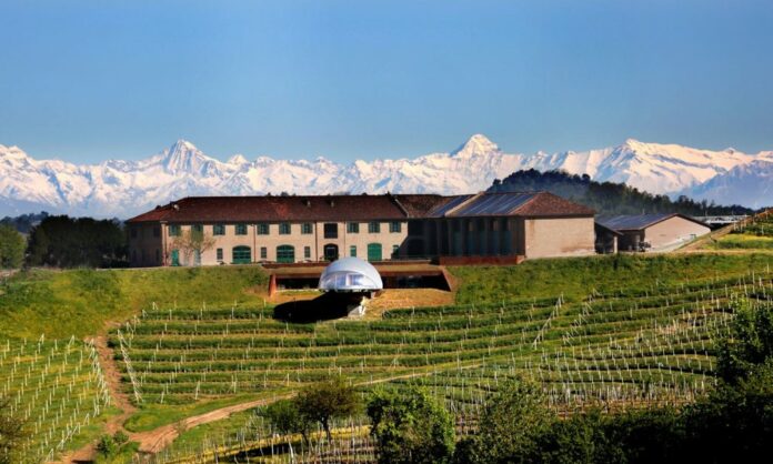 15 cantine da visitare nelle langhe