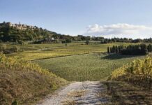 Canneto