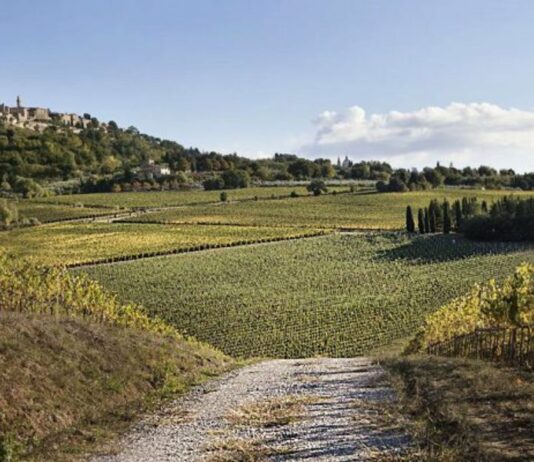 Canneto
