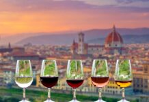 Wine Tour from Florence