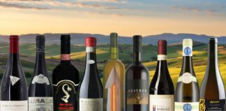 Best 20 Natural Wines in Italy