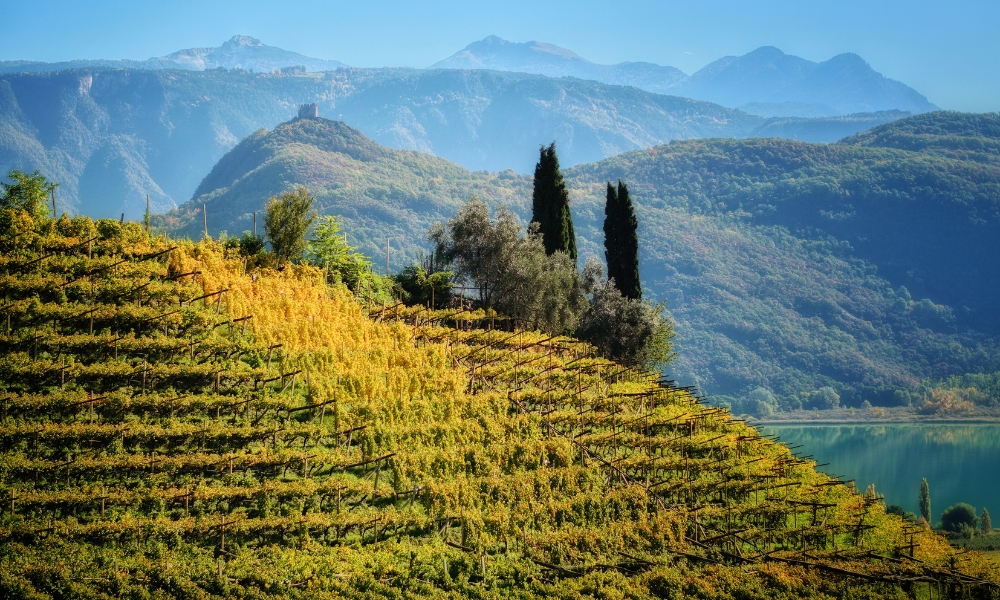 Alto Adige geologia e vigneti
