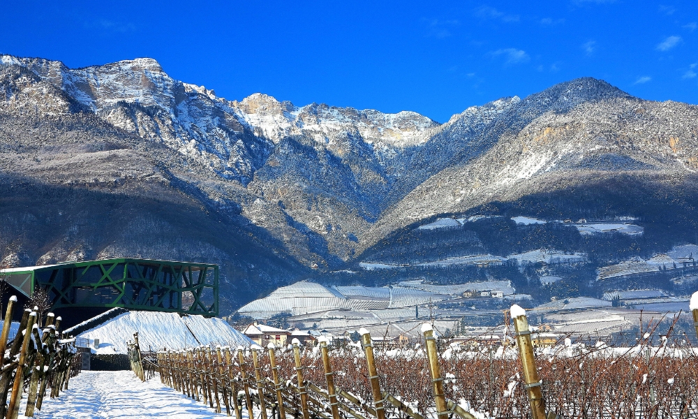 Alto Adige geologia e vigneti