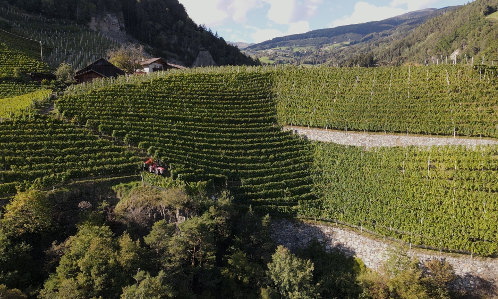 Alto Adige geologia e vigneti