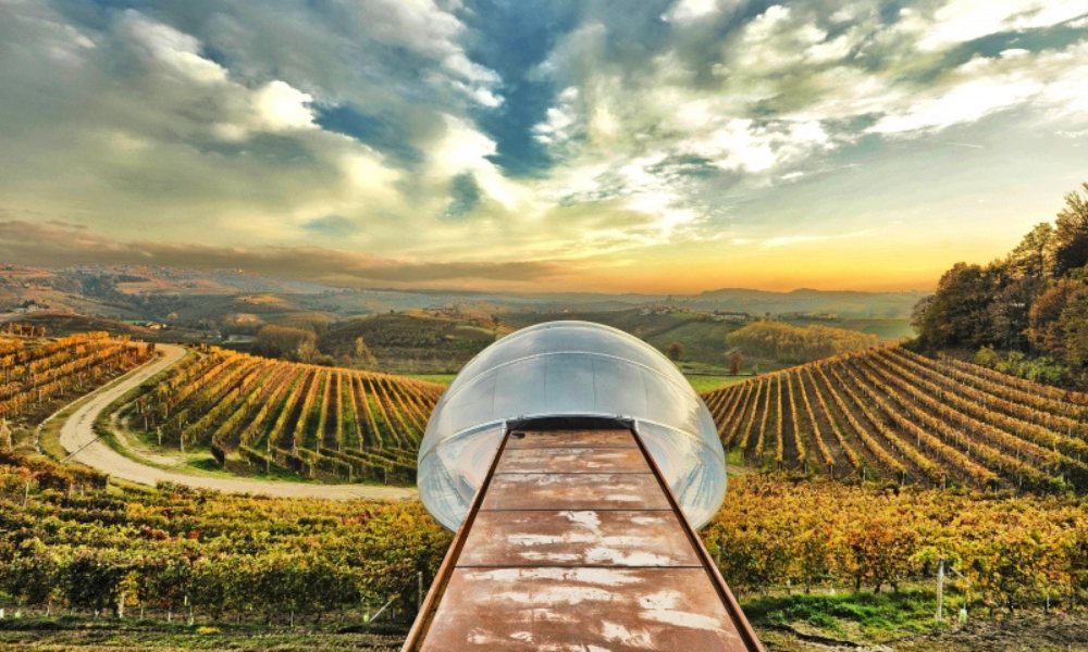 cantine da visitare nelle langhe
