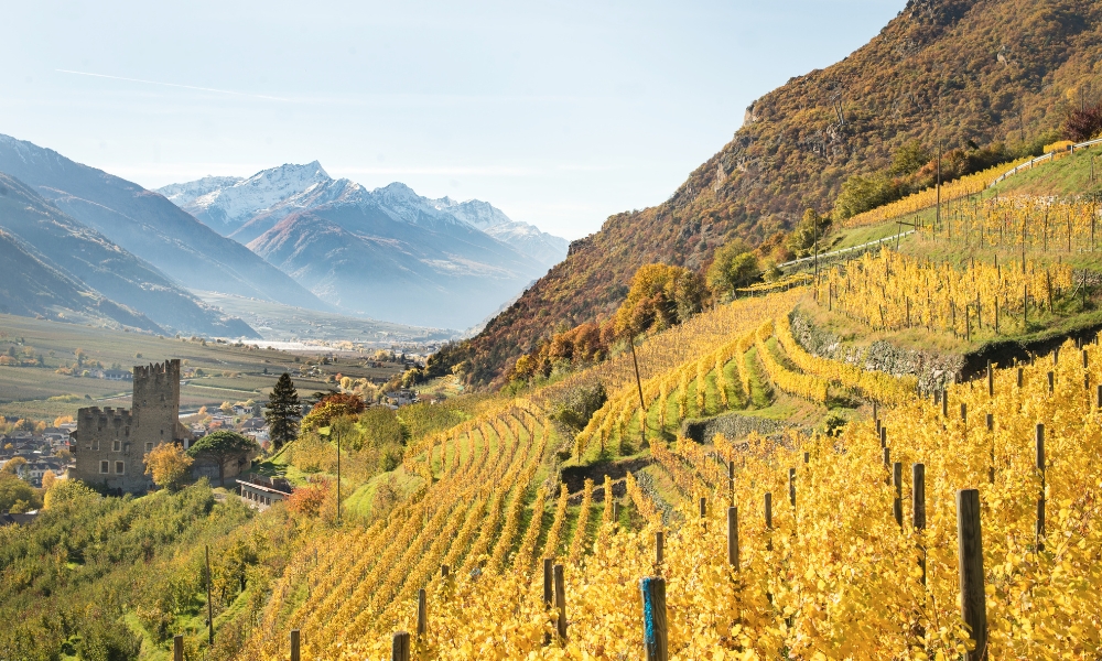 Alto Adige geologia e vigneti