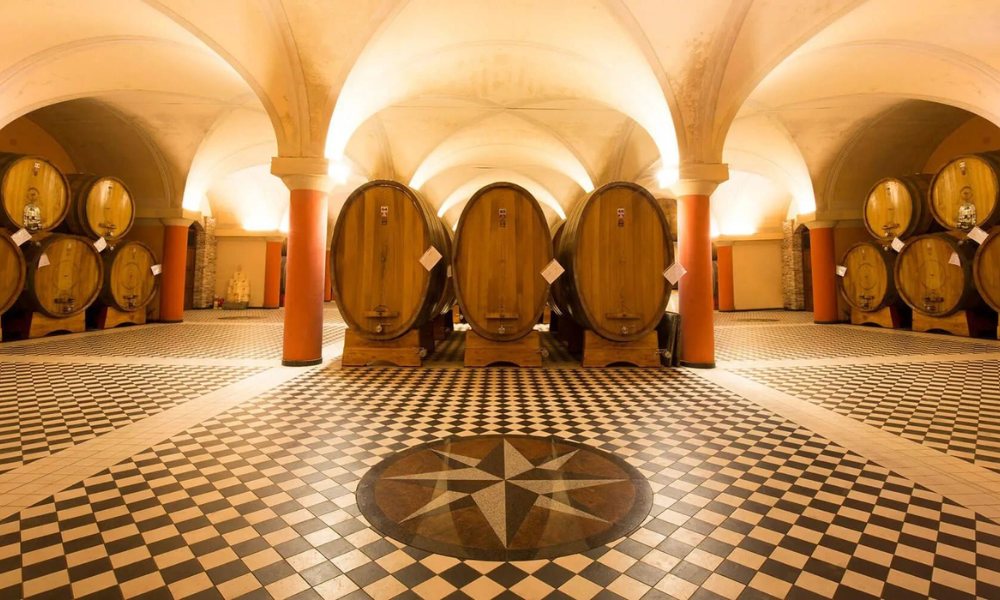 cantine più belle da visitare nelle langhe